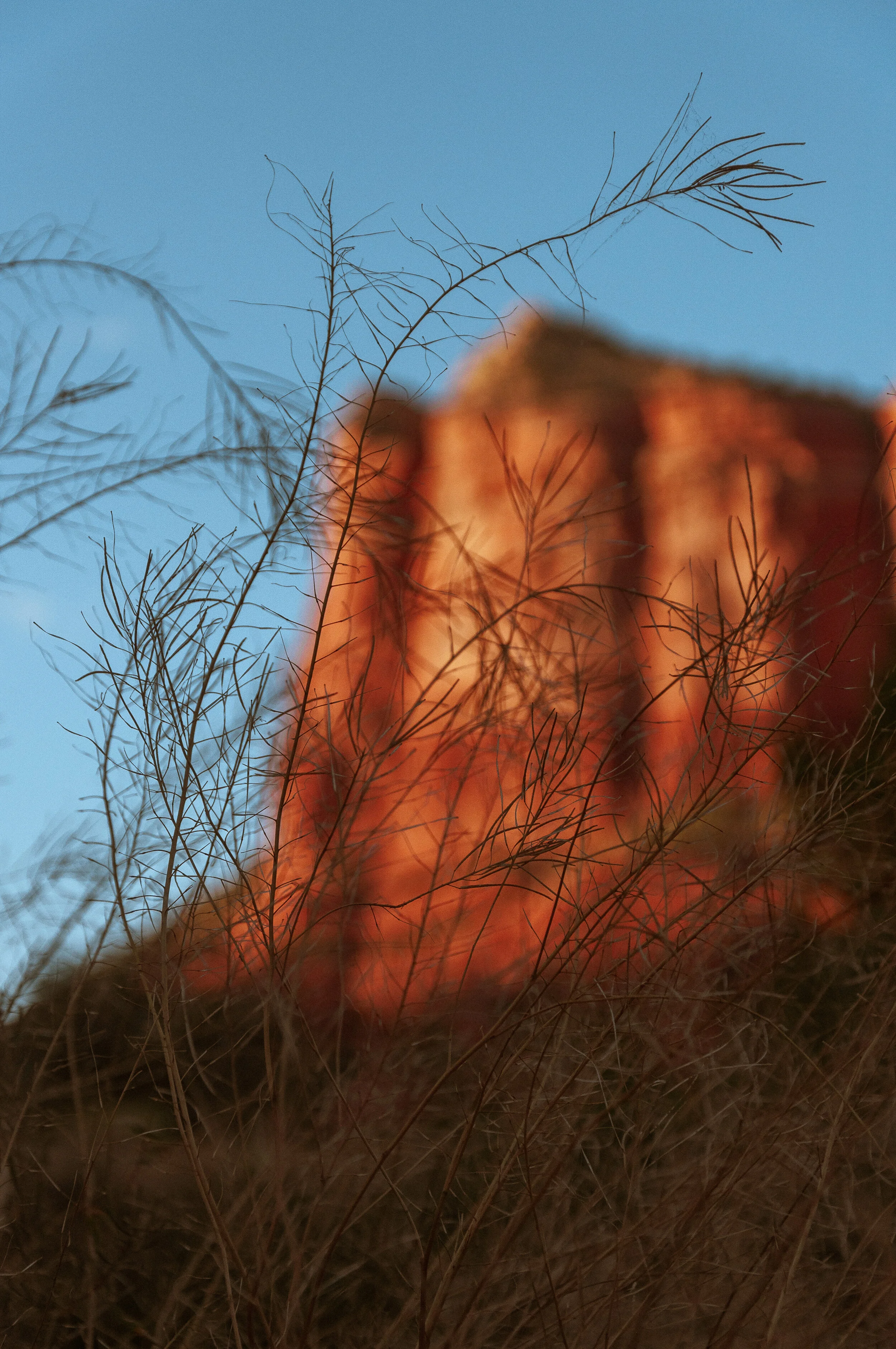 Sedona