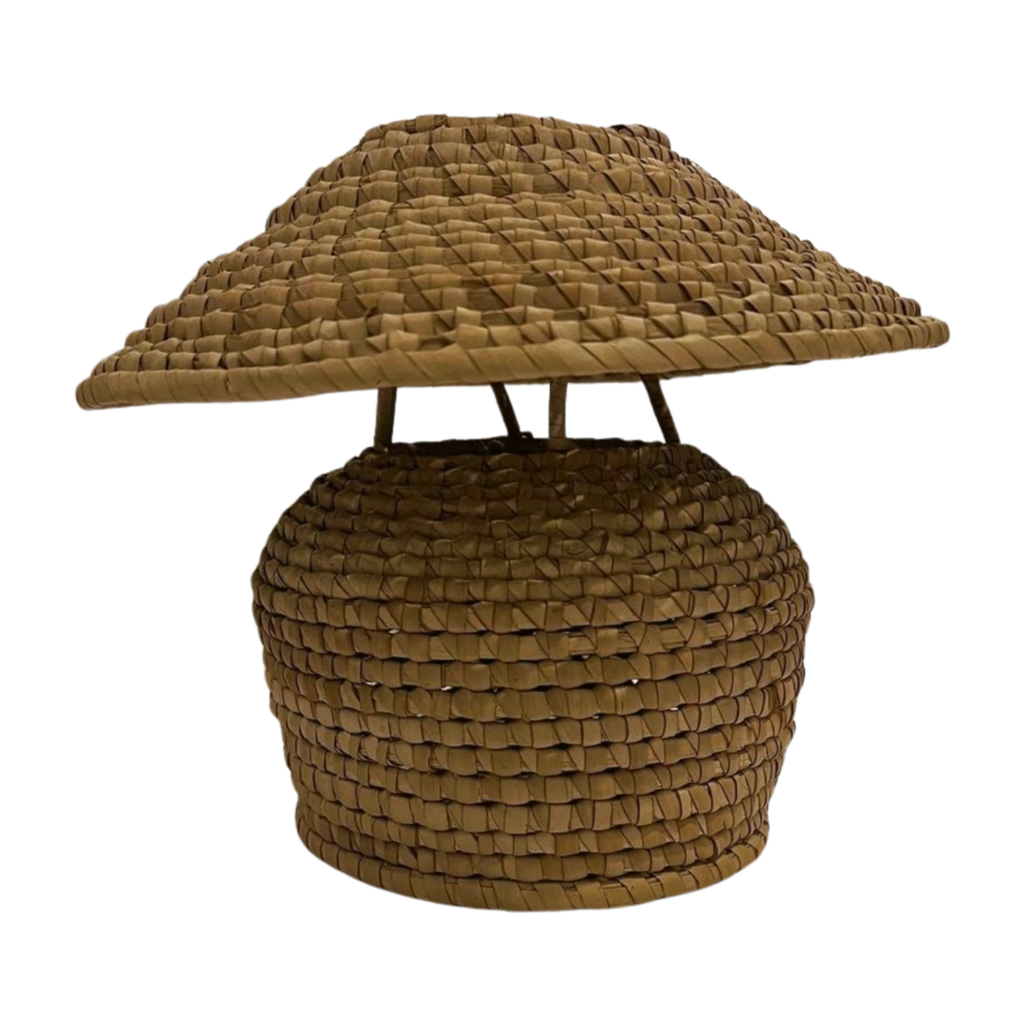 White_Background.zip - IMG_8981.PNG