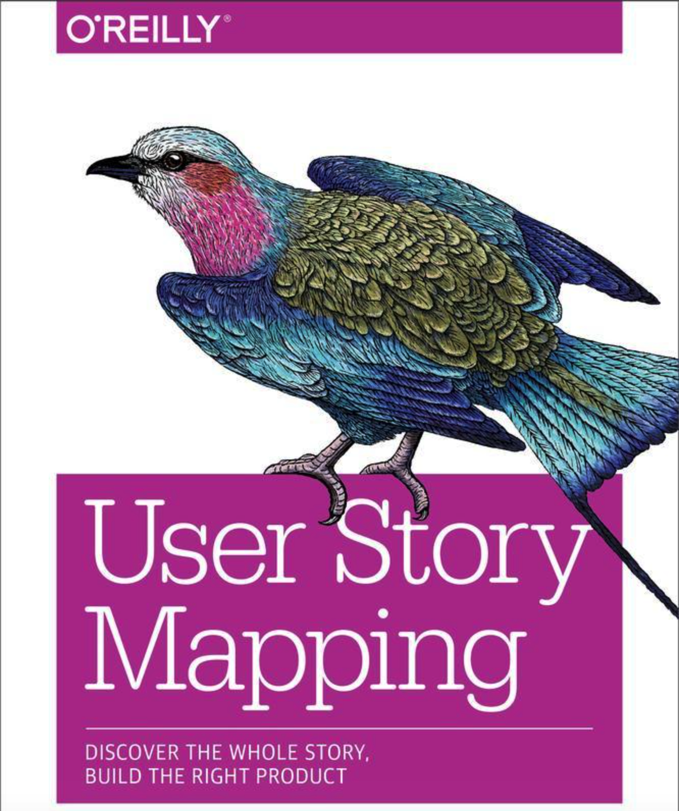 This is a great book on user story mapping, roadmapping, and how vertical slicing is important, and to do it with the customer and the team working on the project.