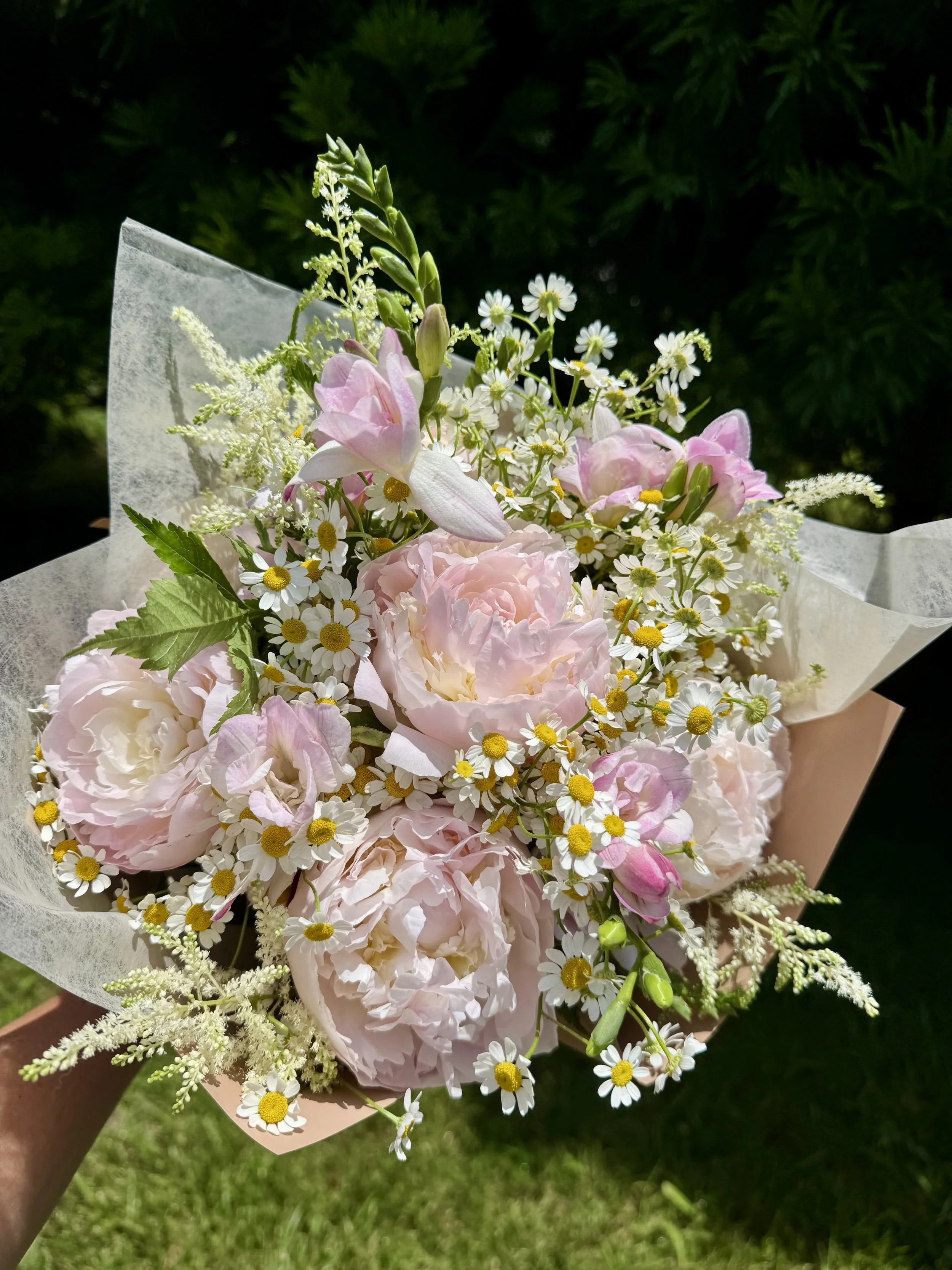 A bouquet of pink and white peonies, daisies, and other small white flowers wrapped in white paper.