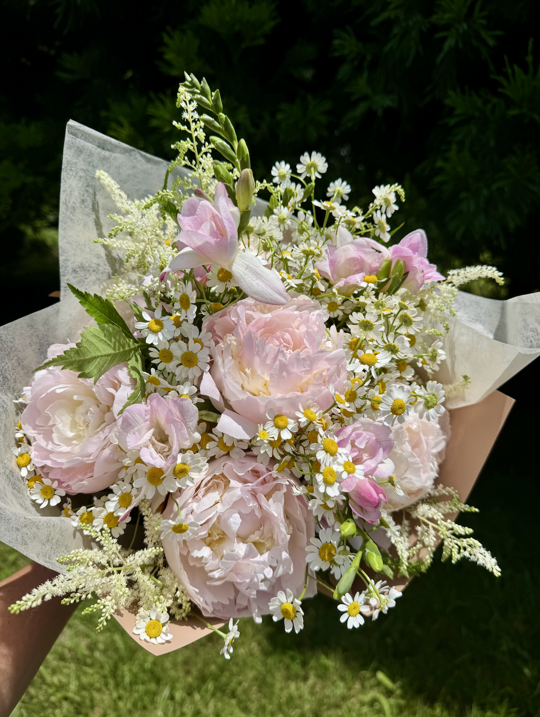 Screenshot 2026-02-09 at 5.59.14 PM.png