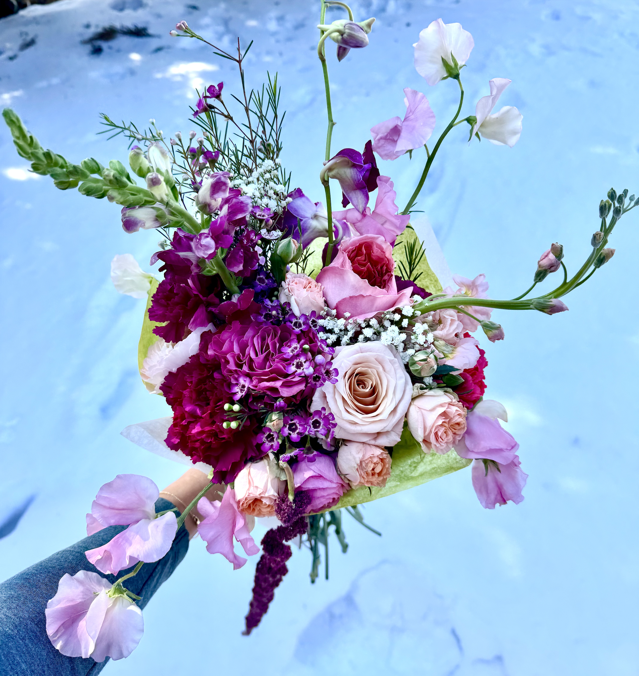 Screenshot 2026-02-19 at 11.03.07 AM.png