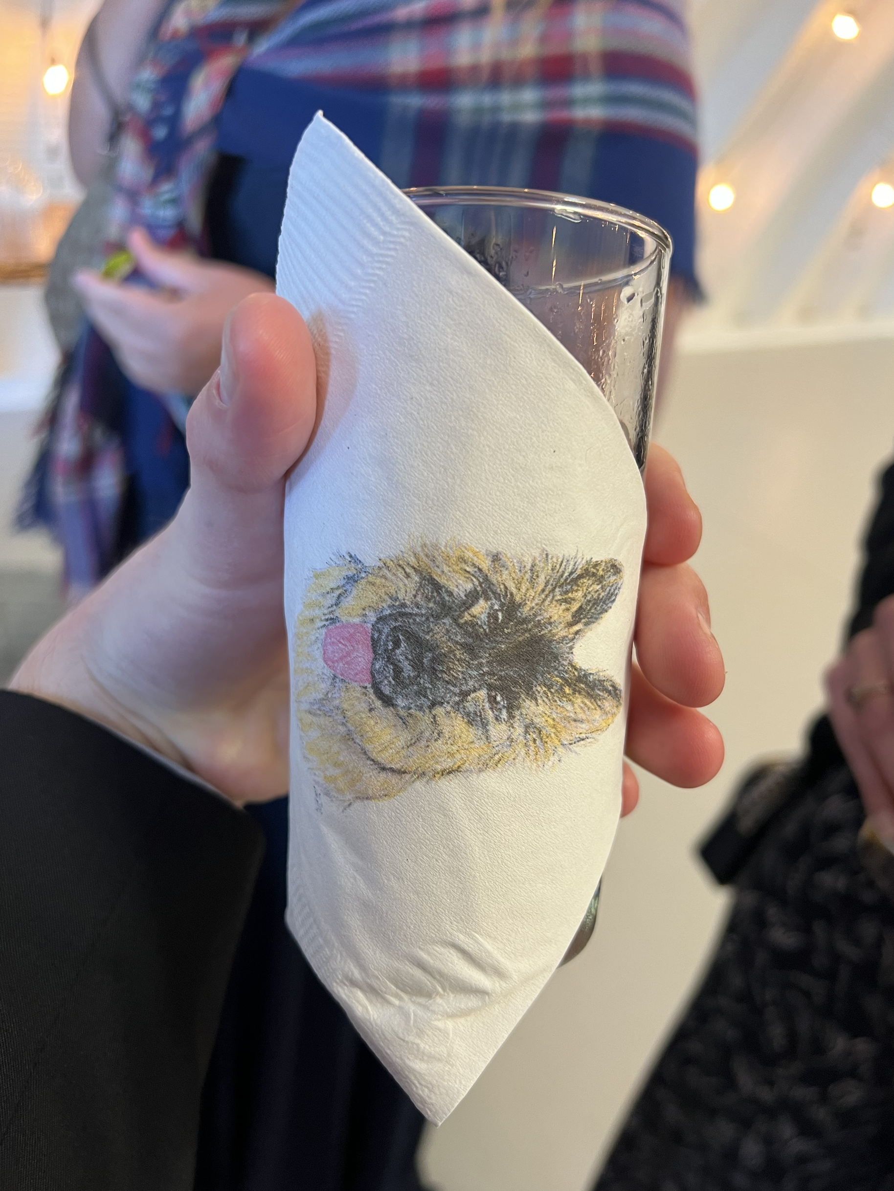 Screenshot 2026-02-20 at 11.42.32 AM.png