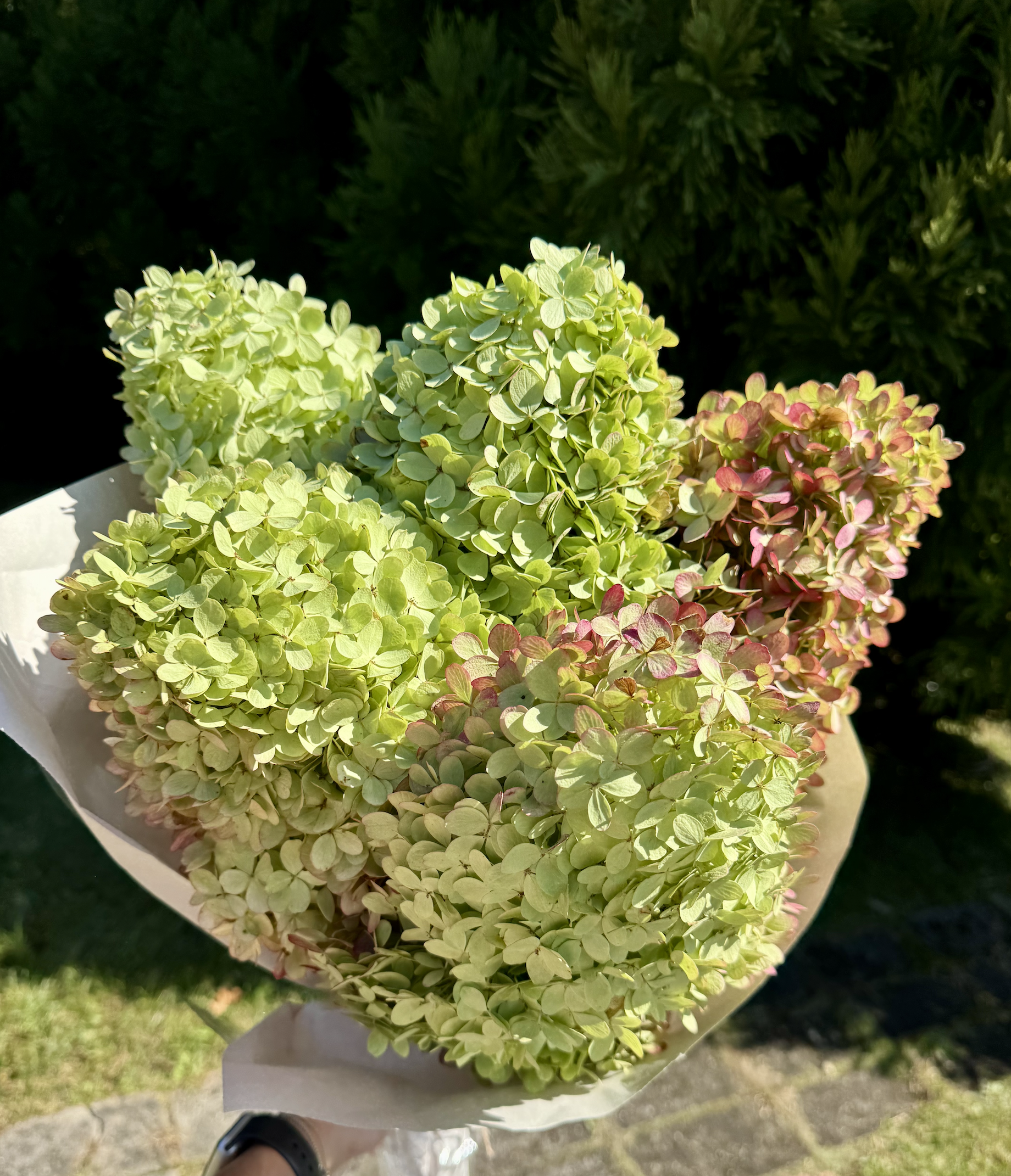 Screenshot 2026-02-09 at 6.19.01 PM.png