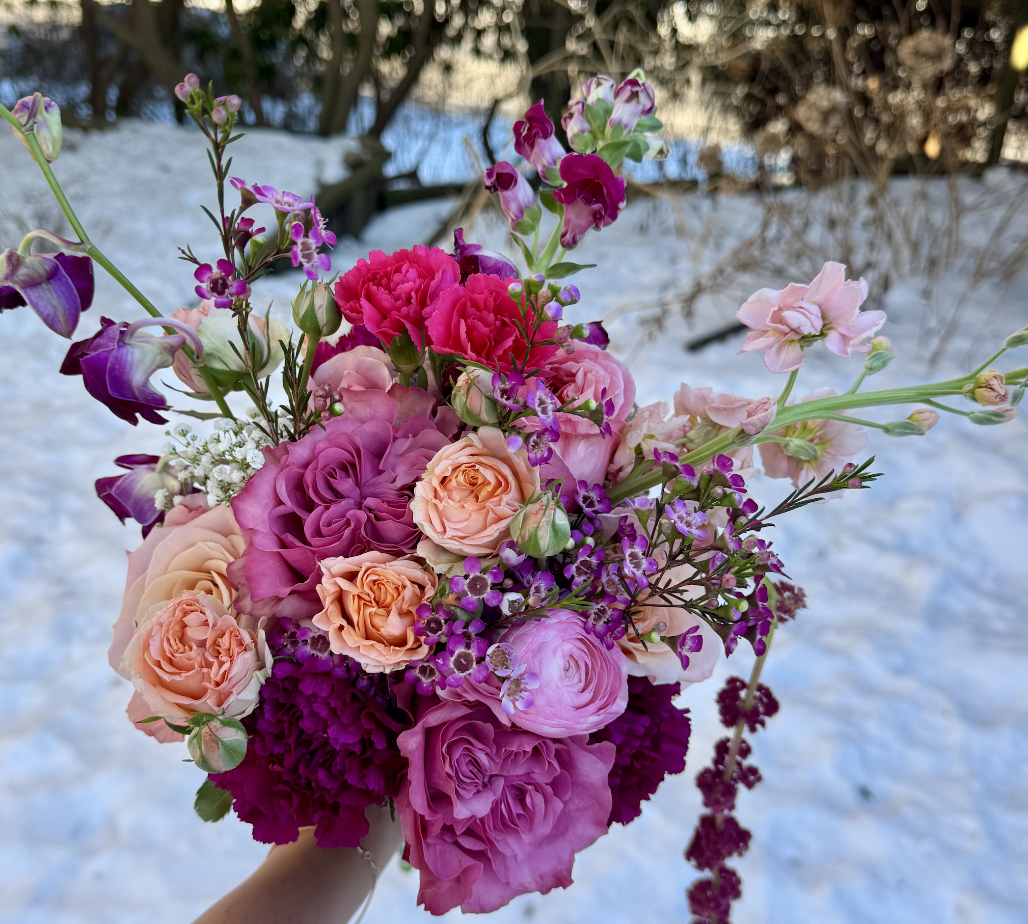 Screenshot 2026-02-19 at 11.04.52 AM.png