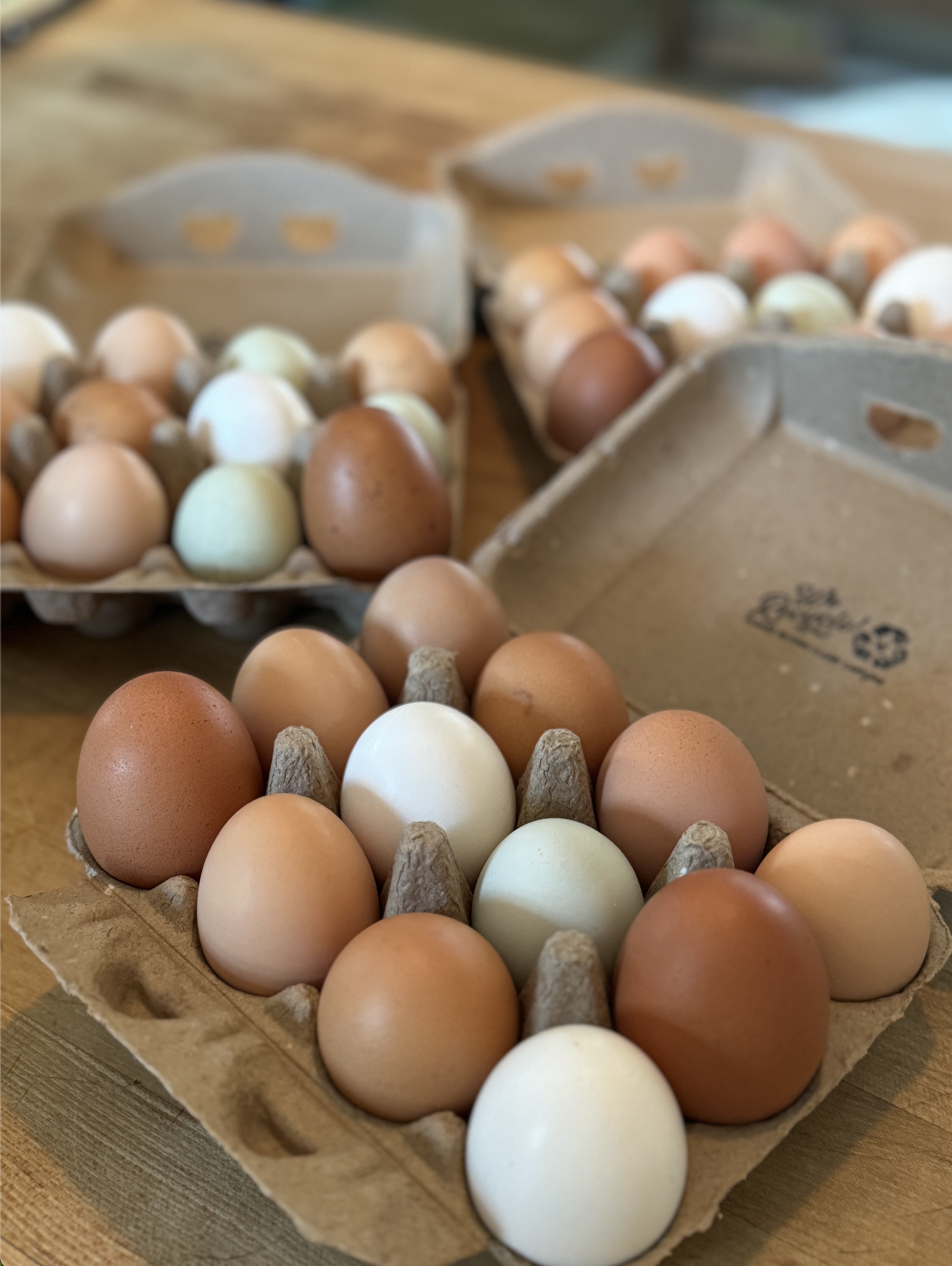 Screenshot 2026-02-09 at 7.40.45 PM.png