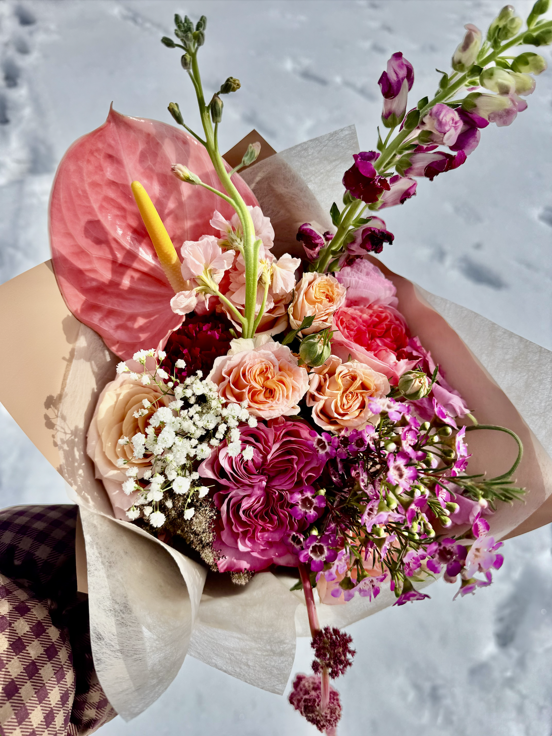 Screenshot 2026-02-19 at 11.01.03 AM.png