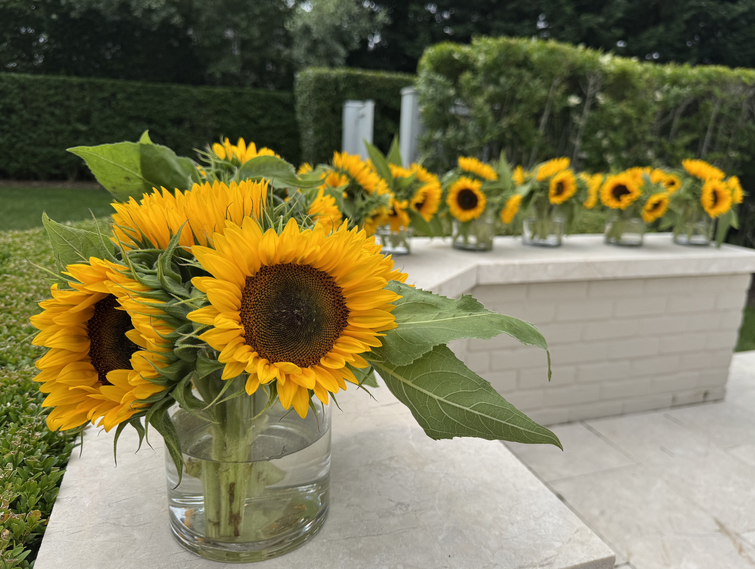 Screenshot 2026-02-09 at 6.25.59 PM.png