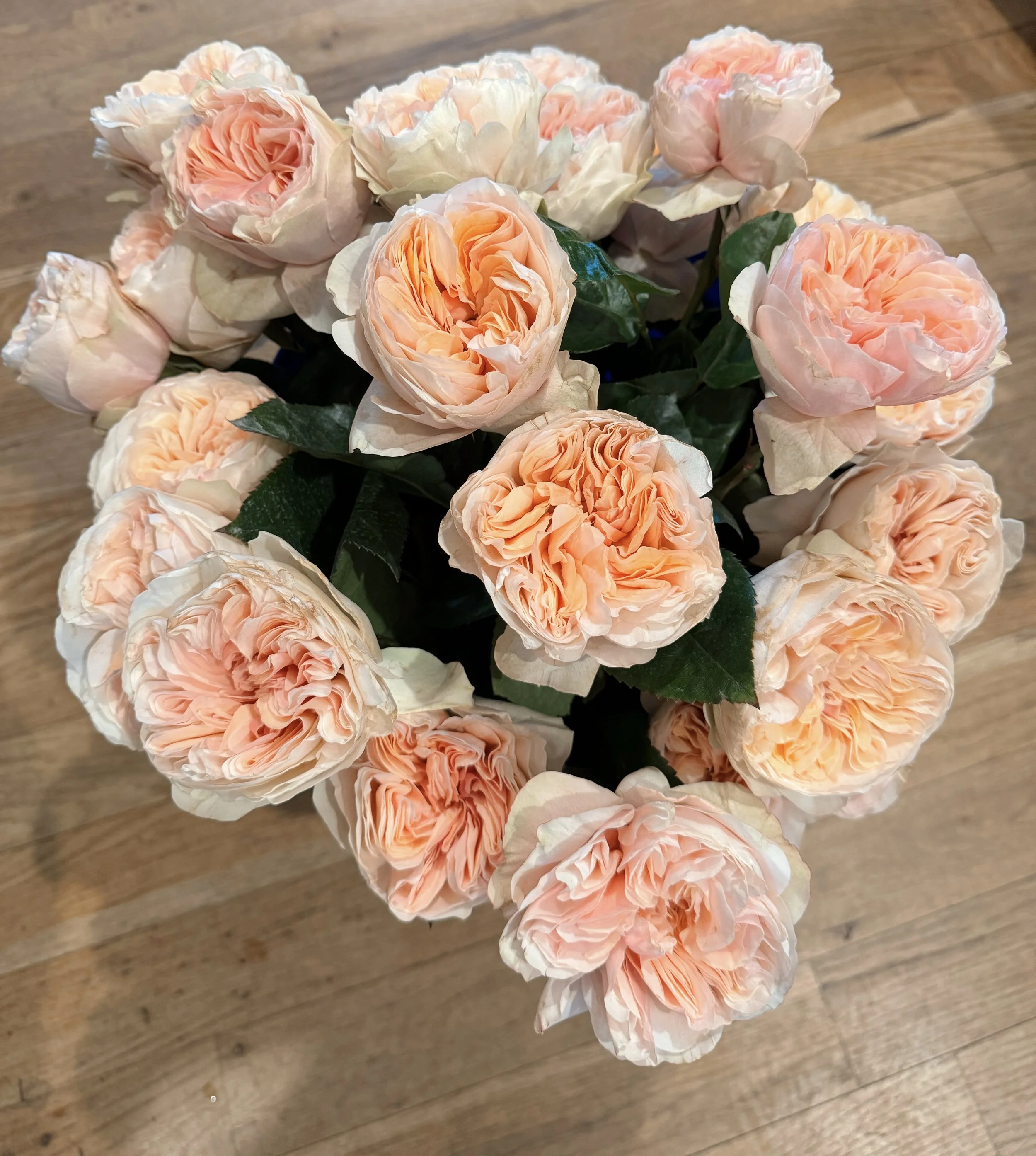 One Dozen Rose Arrangement