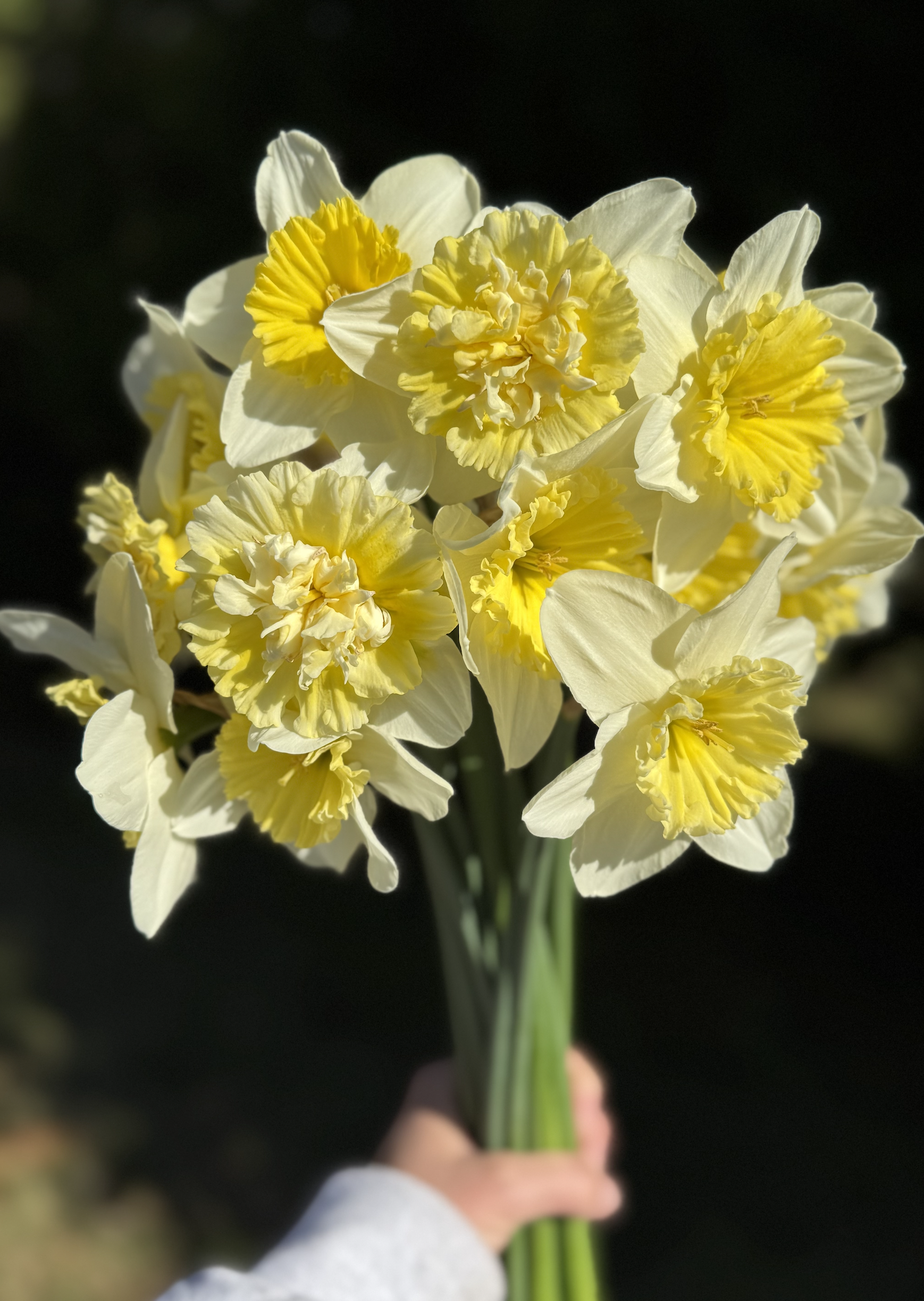 Screenshot 2026-02-09 at 6.48.24 PM.png