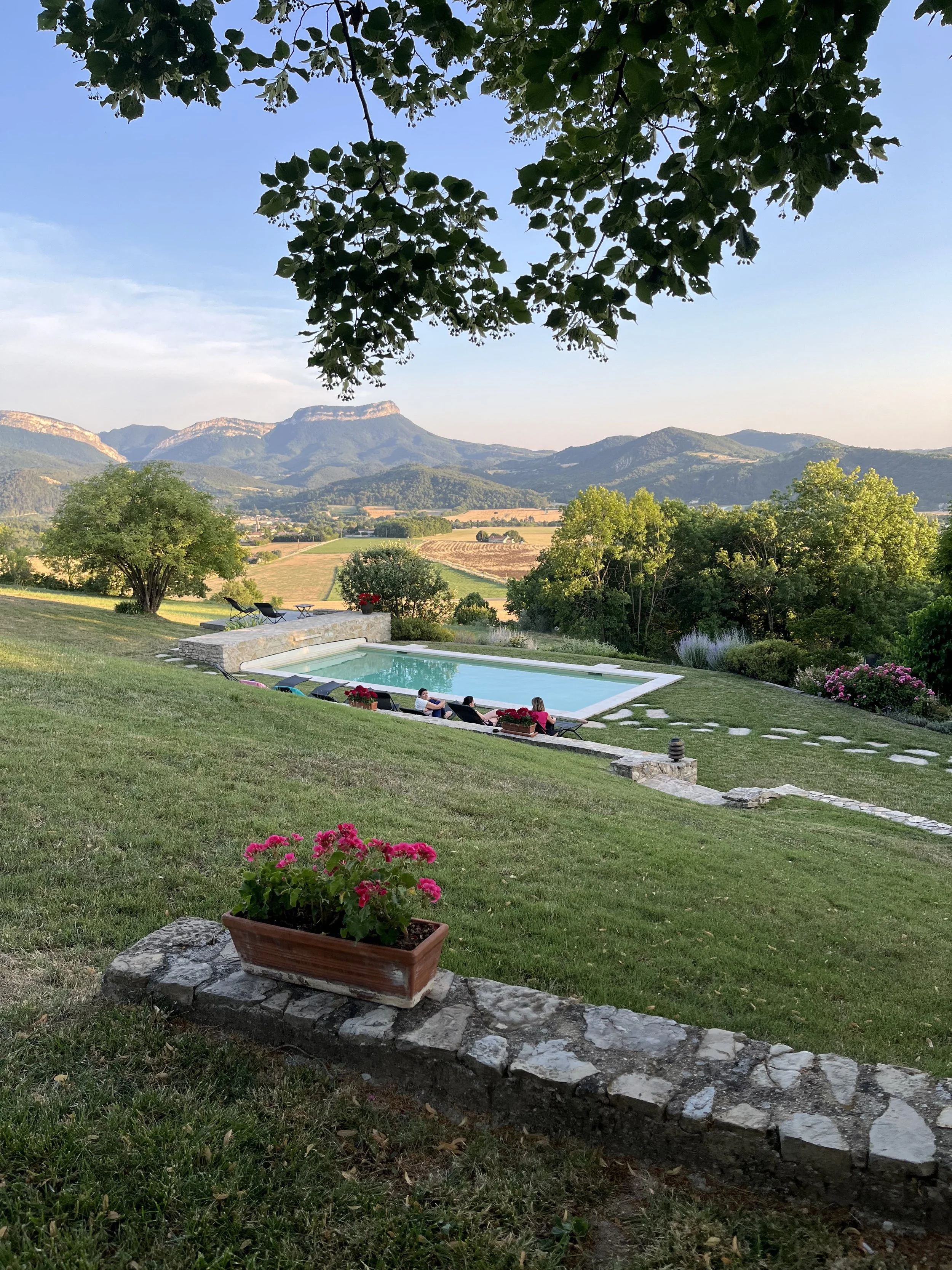 IMG_2963.jpeg