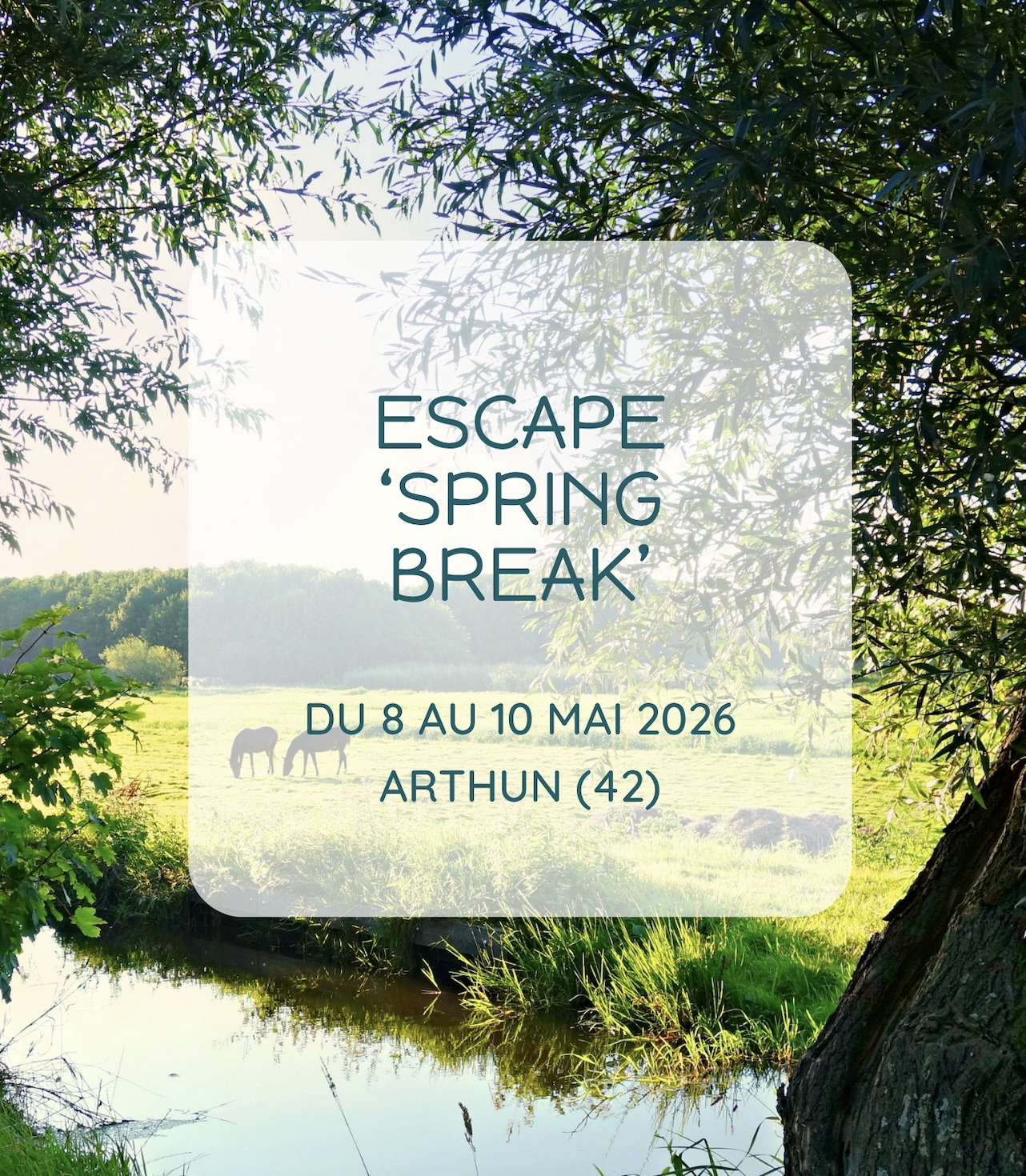 brochure spring break