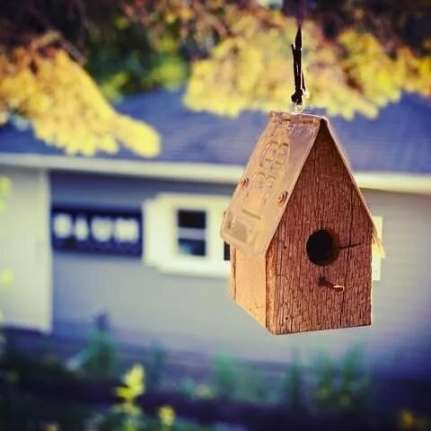 7C417351-390C-4941-894C-147CE5984722