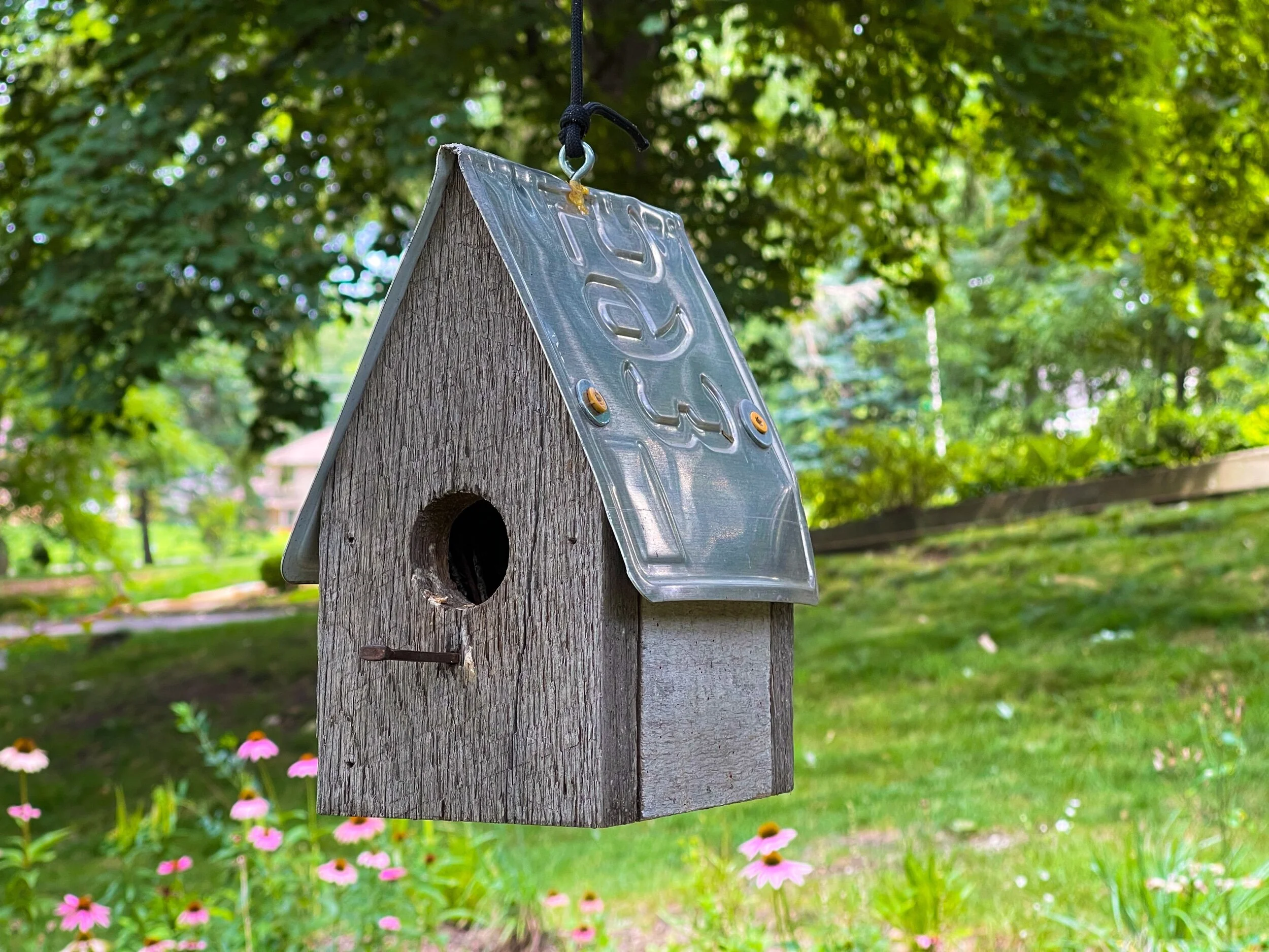 5CE1D956-9447-43BC-9FC3-CC19C020ABA3