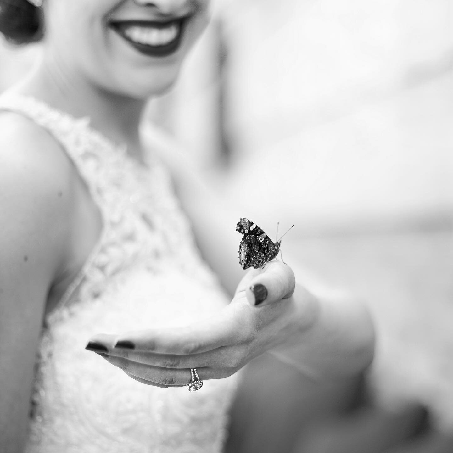 🦋 They say a butterfly on your wedding day is a sign of good luck! Would you believe me if I told you this little guy hiked up 30 stories? 
.
.
.
.
.
#NYCWedding #ManhattanWedding #TheSkylark #SkylarkWedding #NYCWeddingPhotographer #WeddingInspo #Bu