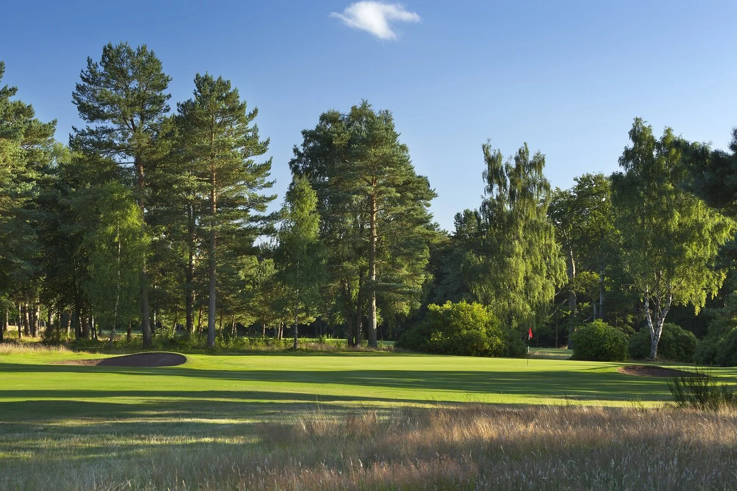 Ladybank 14th .JPG