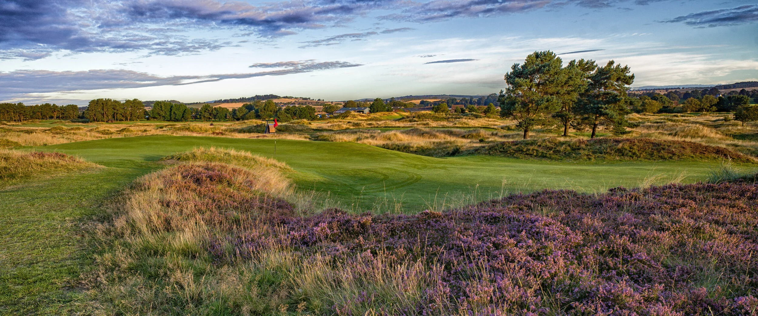Hogan green 2.jpeg