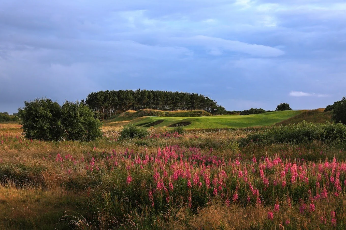 Dundonald 11th 1654 web.jpg