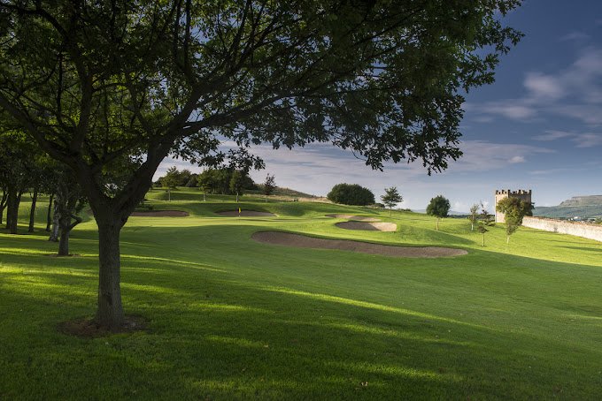 Roe Park 12 approach LHS trees 6529.jpg