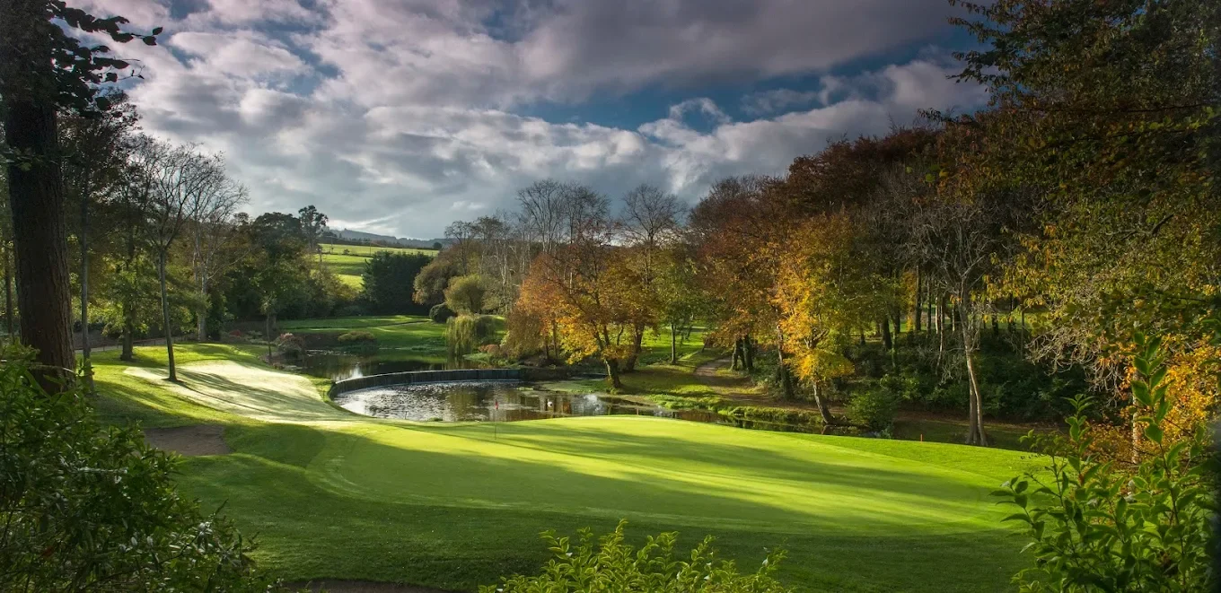 Druids Glen 8 green to tee 1 cropped.webp