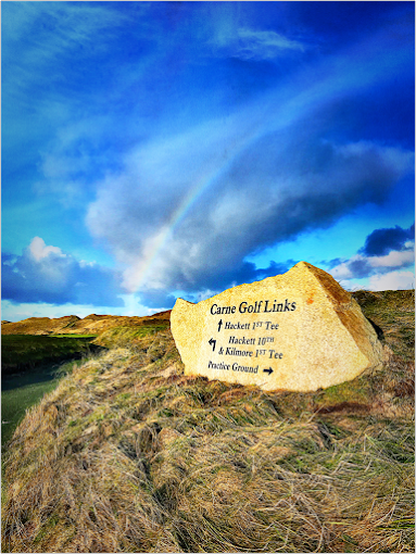 New Picture (17) (1).png