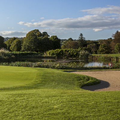 fota8deerpark.pngresized (1).png