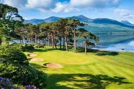 téléchargement (2).jpeg