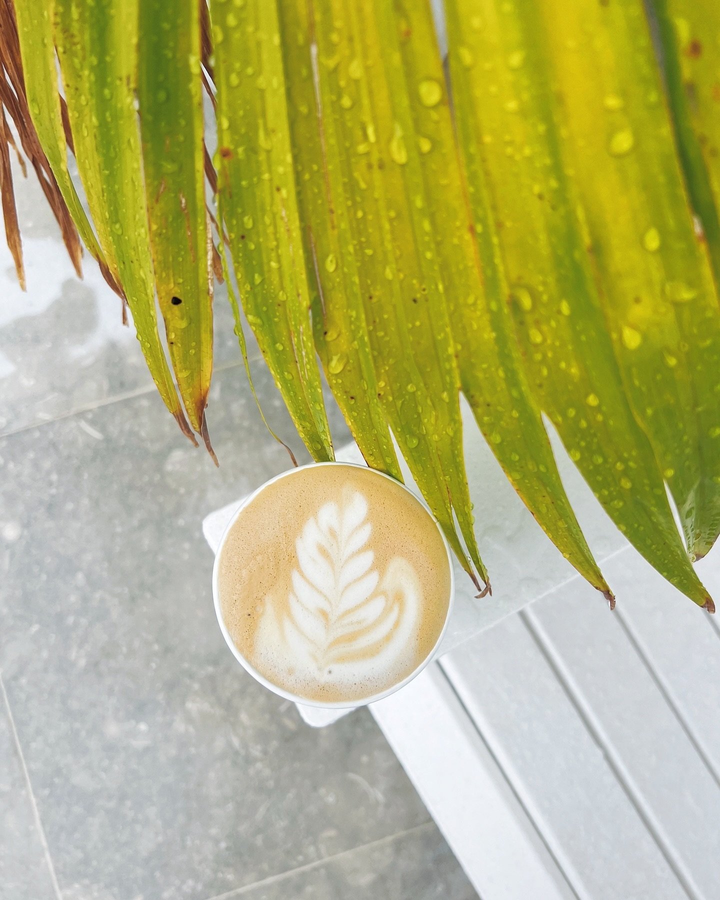 A visual representation of the liminal space between Summer and Fall 🌴☕️🍁
