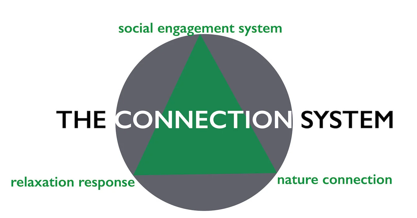 connection_system.jpg
