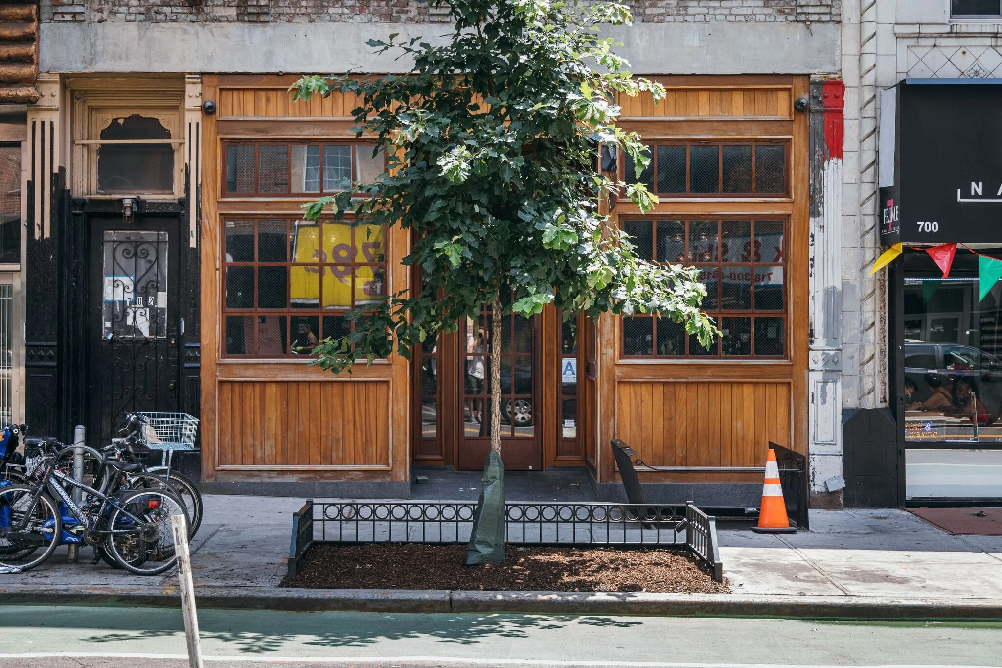 Adopt-a-Tree on Grand Street