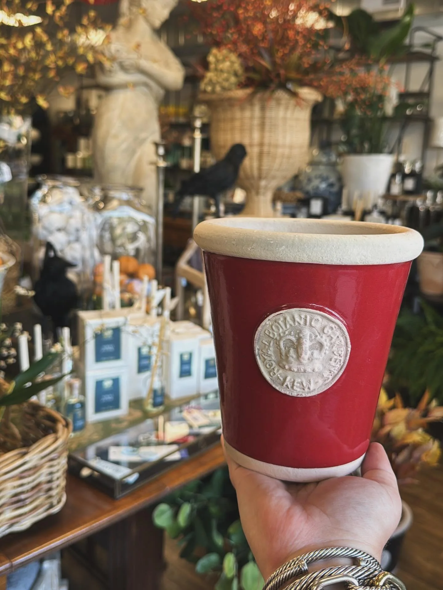 Introducing our newest addition to the shop @botanicalcollections_! They are European-inspired pots that are hand-thrown by talented artisans across the globe.

Botanical Collections is the sole authorized American wholesaler for pottery from the Roy