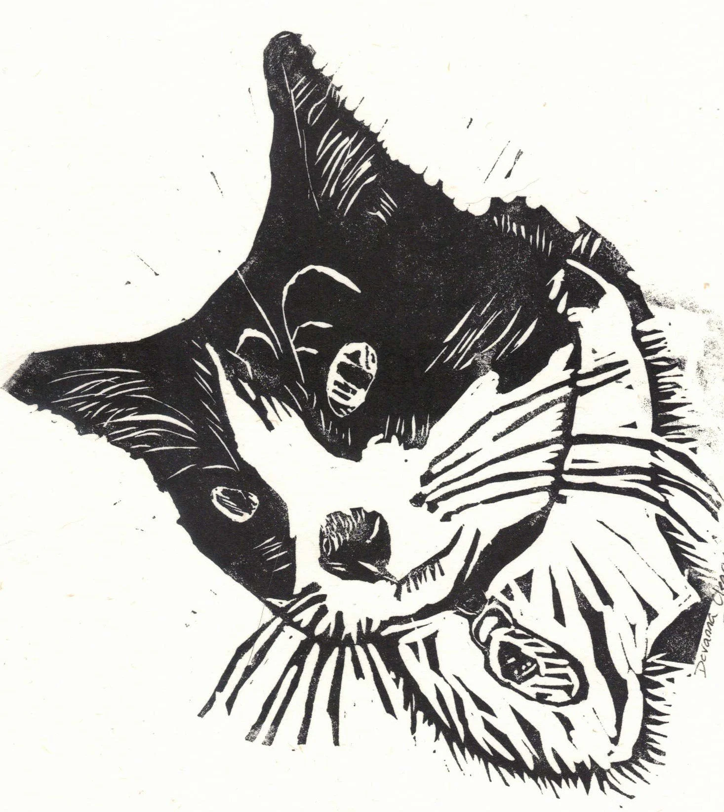 Ripley