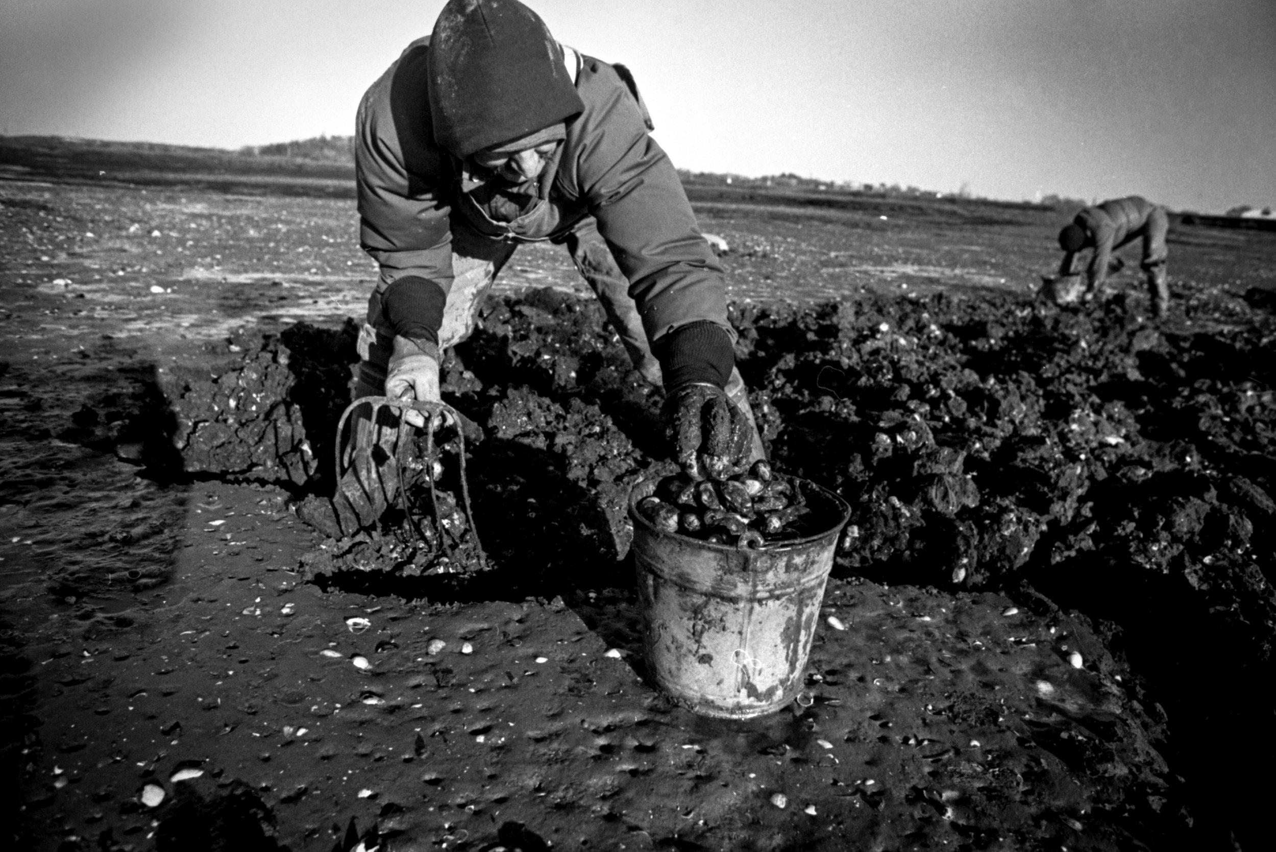   [2] Stan Roberts digs clams off Essex Avenue in a flat on the Annisquam River, 1982. Photograph by Jim Mahoney. &nbsp; 