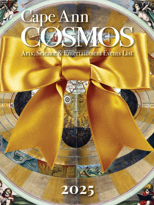 COSMOS 2025 year end cover.png