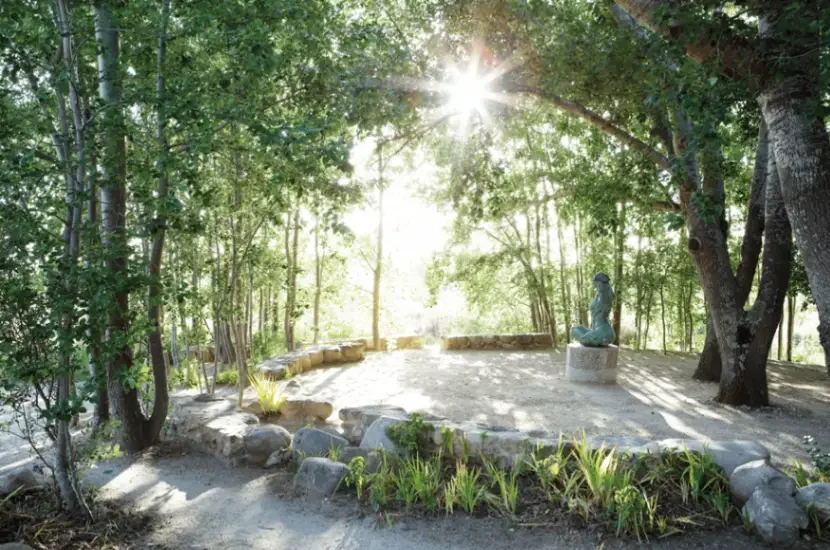 jpeg-optimizer_001Dylan+Lewis+Sculpture+Garden.webp