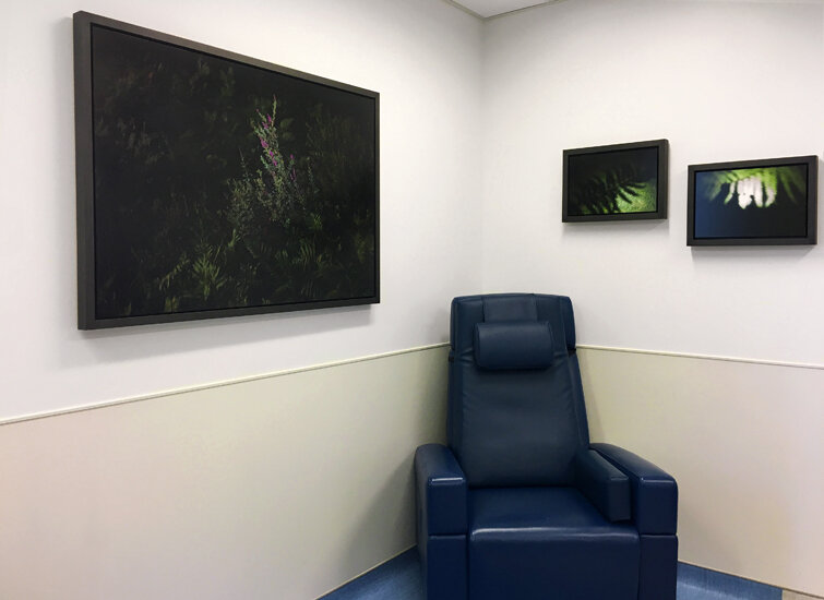 family room prints hospital.jpg