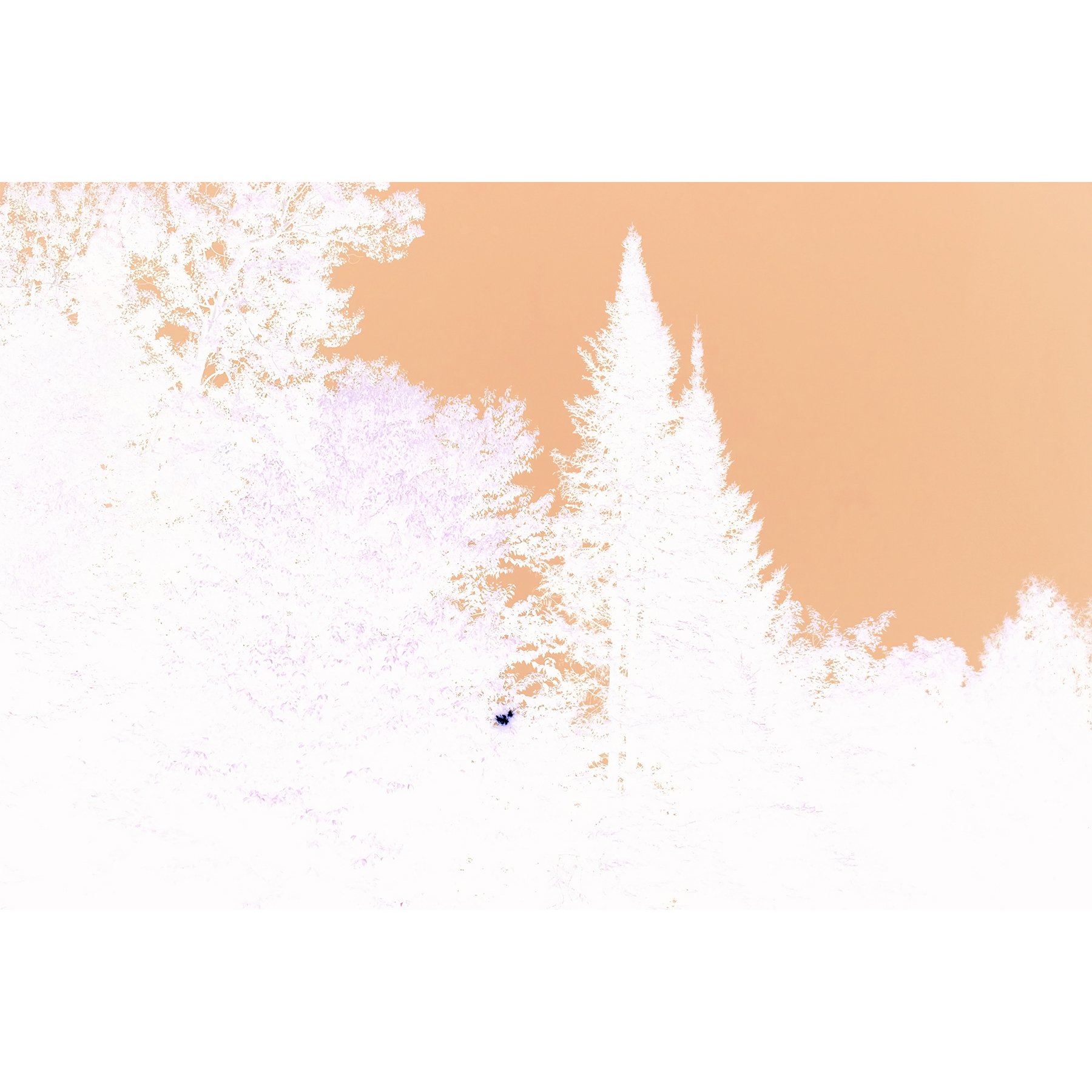 sq fall to pieces_MOCL book final.jpg