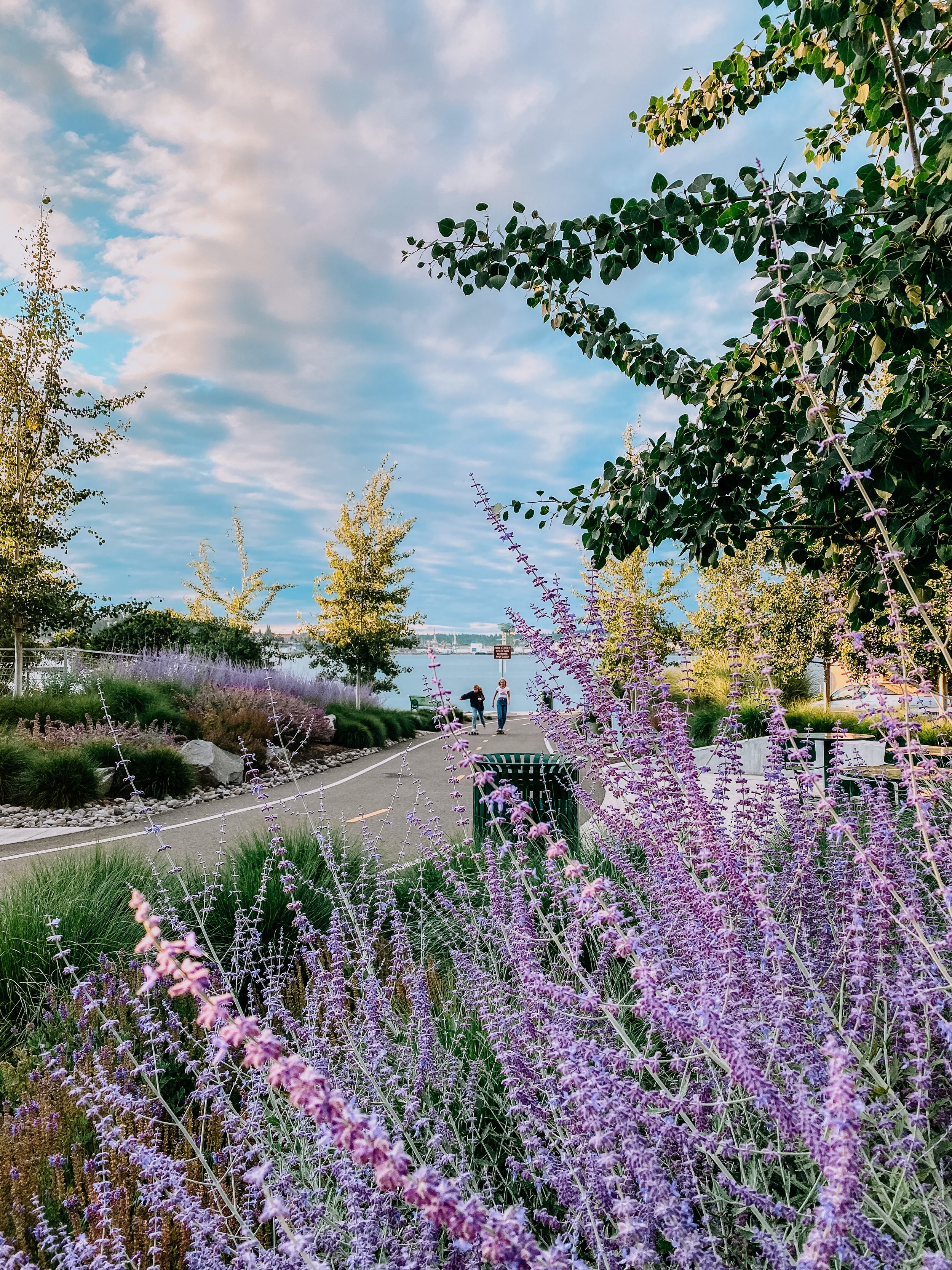 Waterfront Walking Path