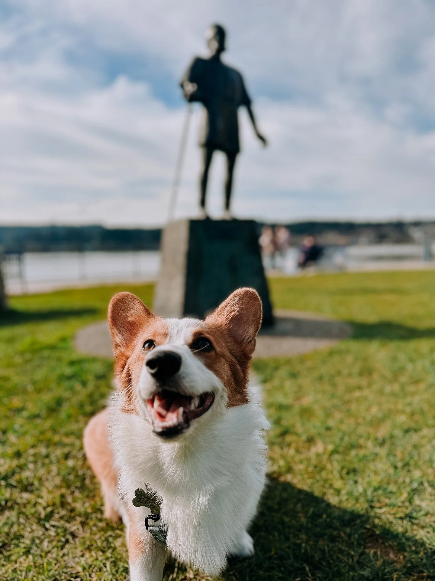 @_walterthecorgi is the cuuuuuuutest corgi and he loves a good adventure! Follow him along a recent visit to @historicpoulsbo and discover how easy it is to adventure around the Poulsbo waterfront. Our Kitsap pets live their best lives here in our ch