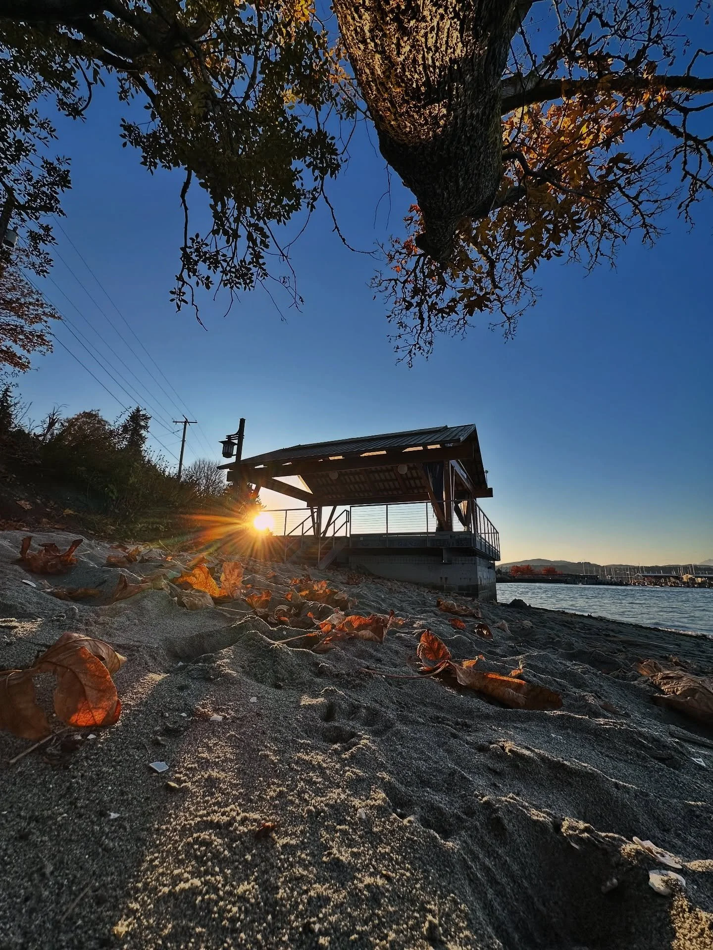 The Port Orchard waterfront is where Autumn leaves meet quaint sandy beaches in some of the cutest waterfront pocket parks you&rsquo;ll ever visit. The perfect place to sip a PSL and take in the view! #lovekitsap #portorchard #kitsappeninsula #pnw #f