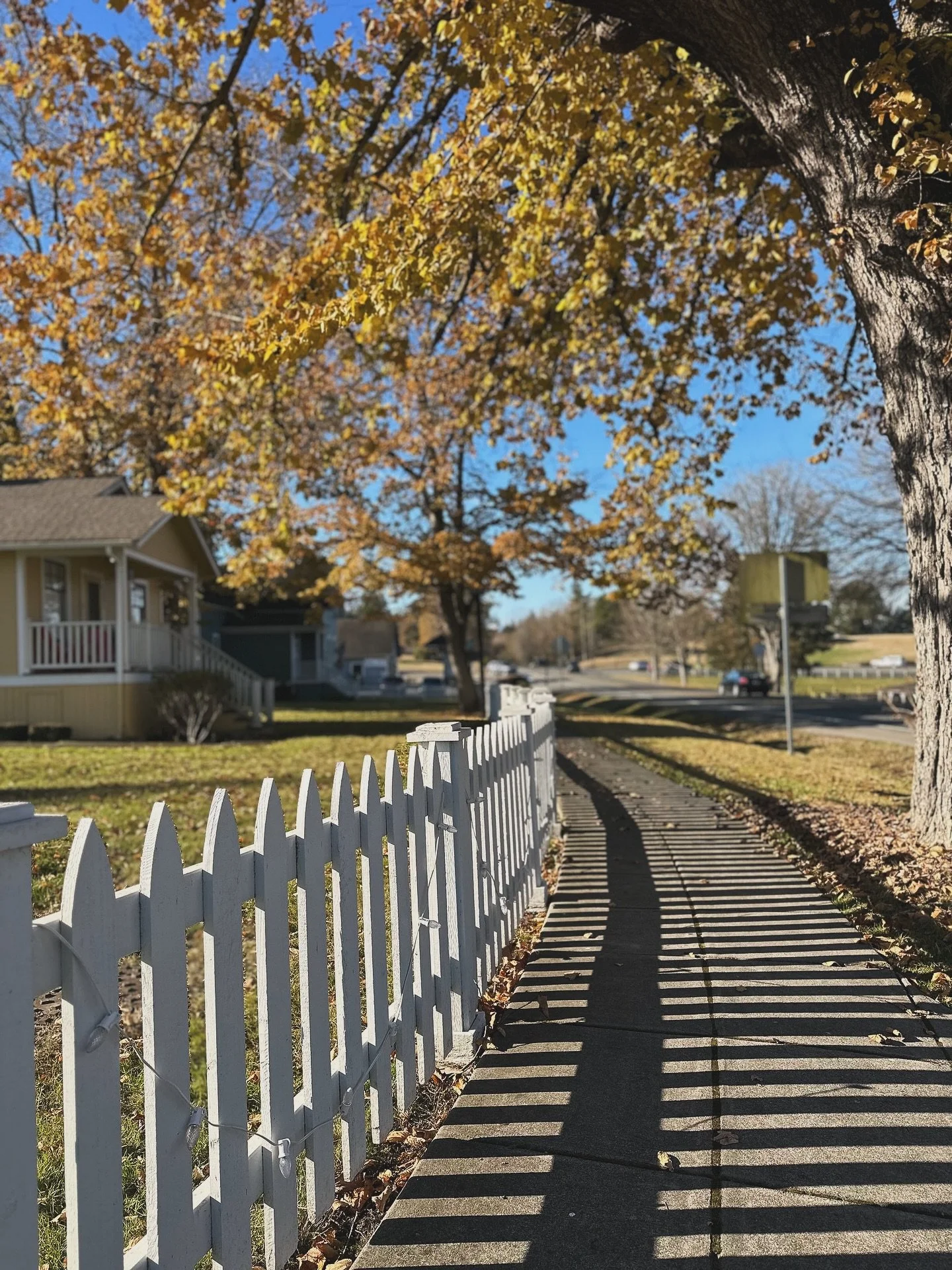 Autumn in Port Gamble has a special magic not found anywhere else. The small, super walkable town turns into a perfect post card as the leaves turn and the air cools. Fall is a great time to book a few nights at the Port Gamble Guesthouse and explore