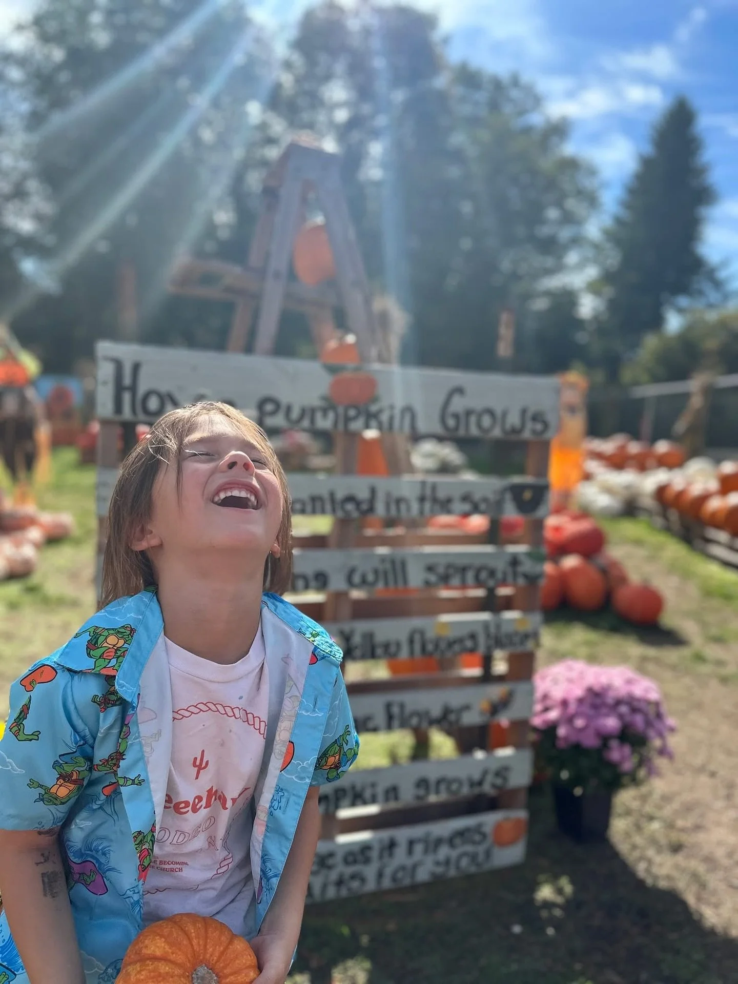 READ &amp; PLAN 👉 kitsap.love/read/kitsap-peninsula-fall-preview END OCTOBER WITH A BANG! Plan all your spooky adventures...
Oct 1-31 Bainbridge Gardens, Inc. Pumpkin Walk
Oct 24-26 Harvest Fest at Crista Camps - Miracle Ranch 
Oct 25 The Rocky Horr