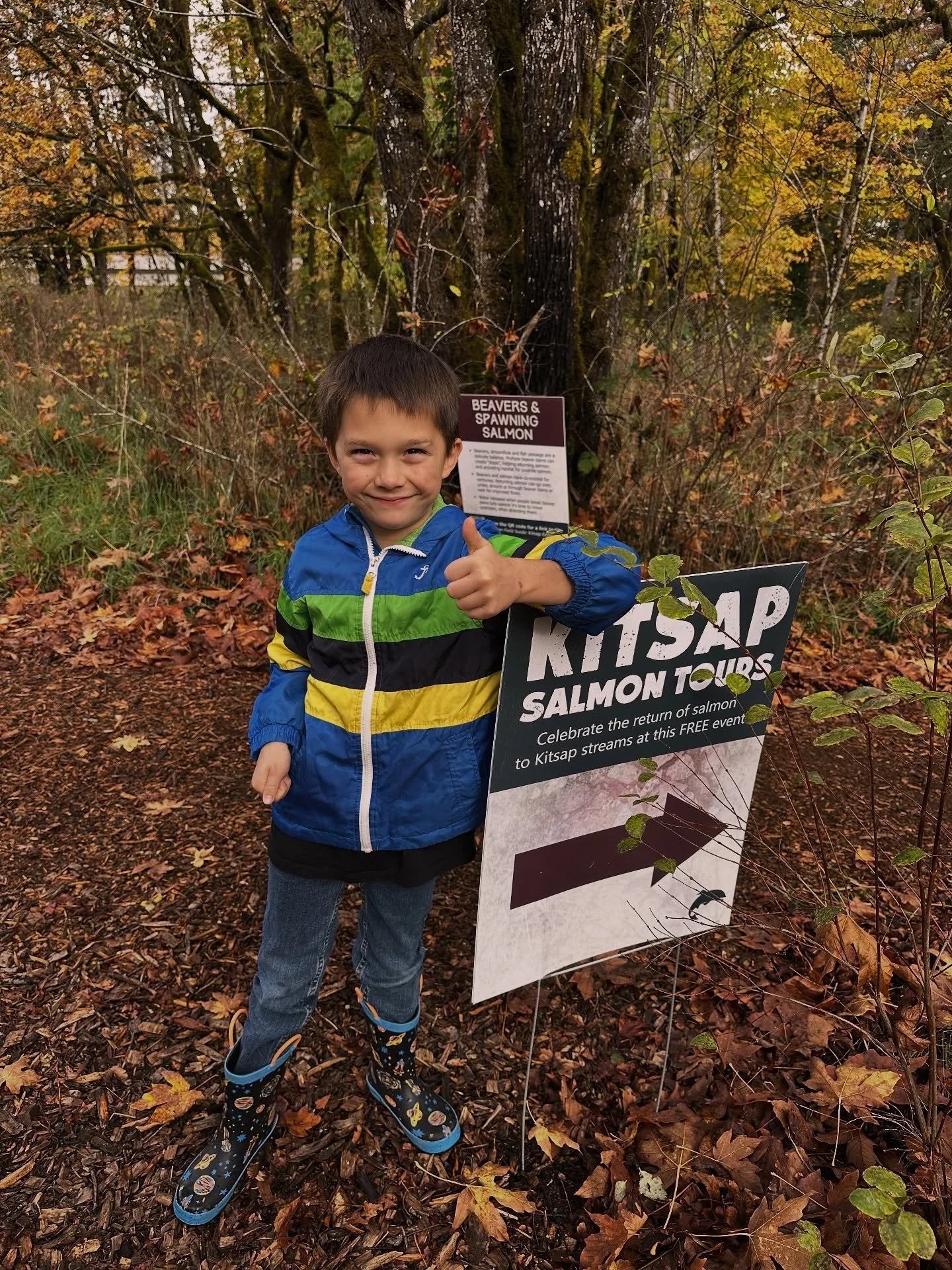 November 1st - Kitsap Salmon Tours is back! Witness spawning salmon returning to Kitsap creeks for a fun, educational, and family friendly where volunteers are on hand to answer questions on salmon life cycles and assist in viewing the hundreds of sa