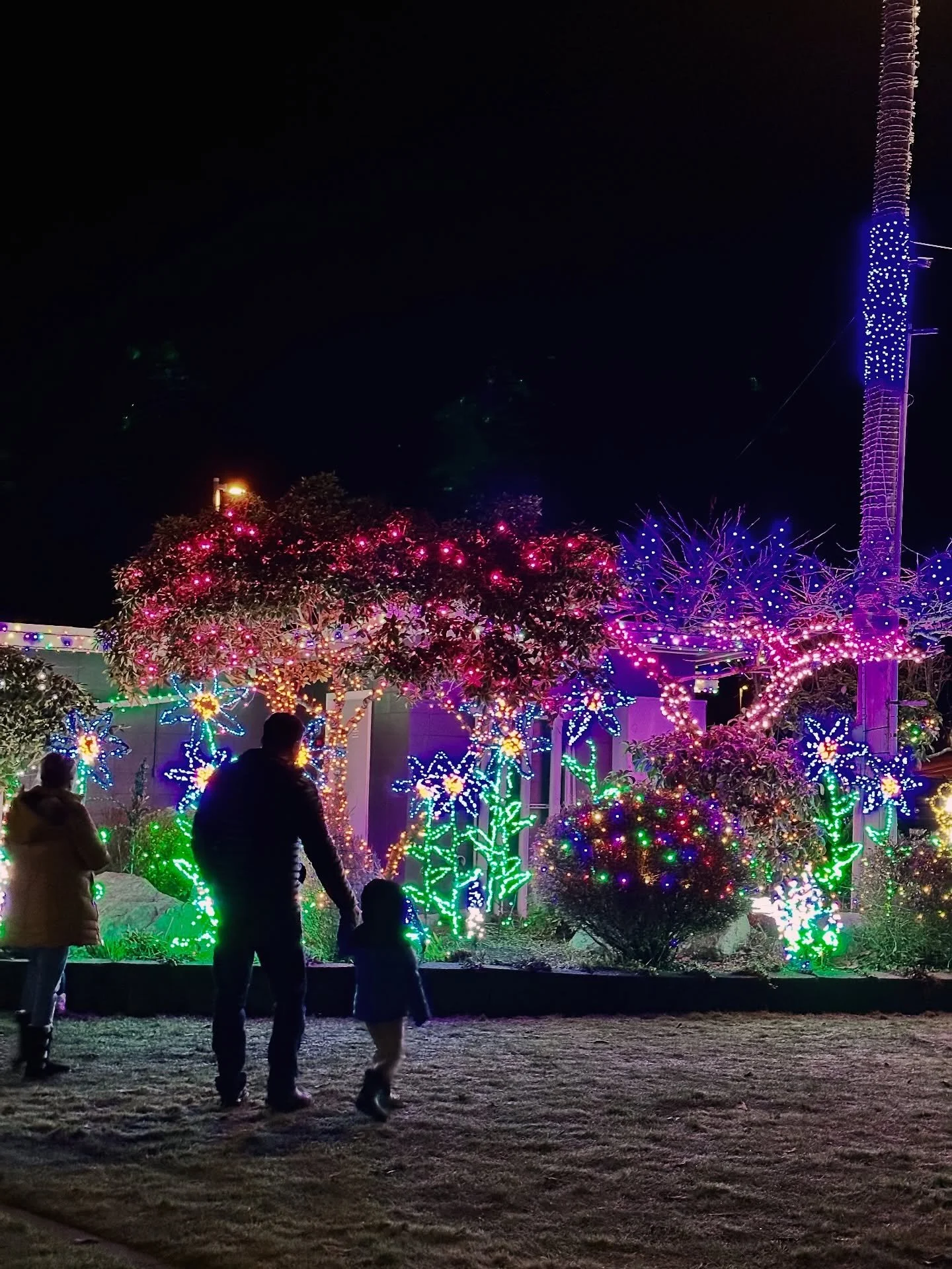 Is it too early to start dreaming about the Kingston waterfront Christmas light display?!? We didn&rsquo;t think so. 😋 Every holiday season the Port of Kingston goes above and beyond to create a magical experience with their incredible decor! Go ahe