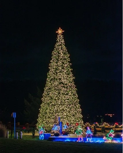 Want to know where to find every tree lighting event in Kitsap? We got you! Go to kitsap.love/lovewinter to find a complete list of tree lightings (and several other holiday events) from Kingston to Port Orchard! Many of our local traditions include 