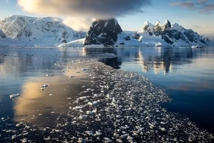 Brooke is a local Kitsap resident and NatGeo photographer. How cool!? She&rsquo;s had the privilege to traveling to some of the most remote parts of our planet for wildlife and landscape photography. This year she&rsquo;s offering a limited edition s