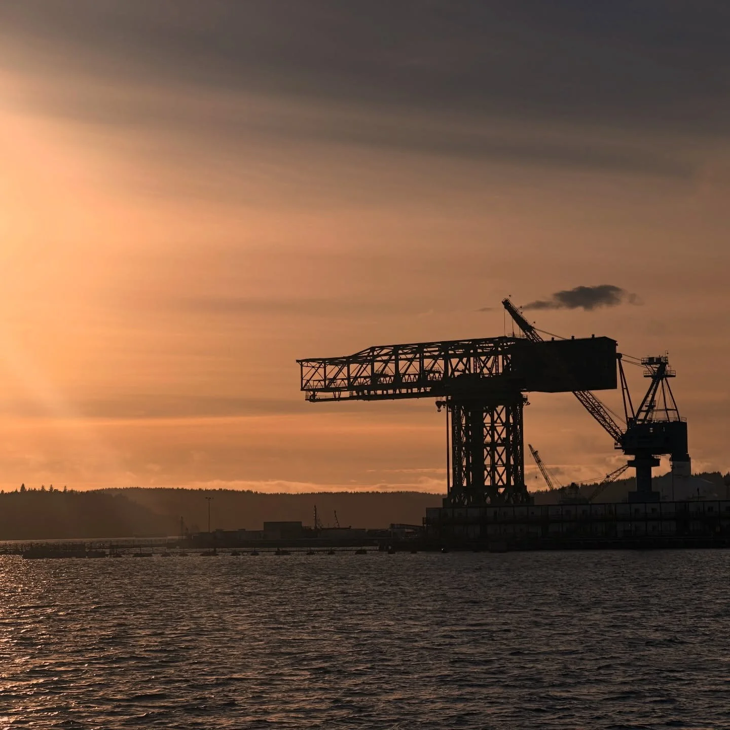 Ok @downtownbremerton, we see you. ❤️