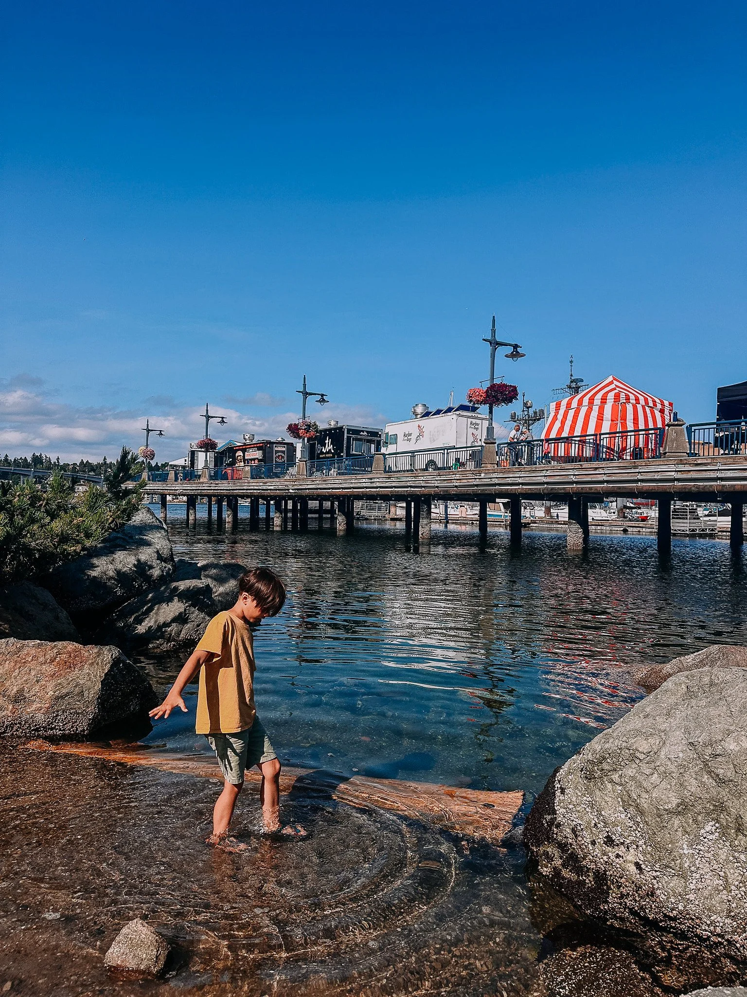 Boardwalk Pocket Park