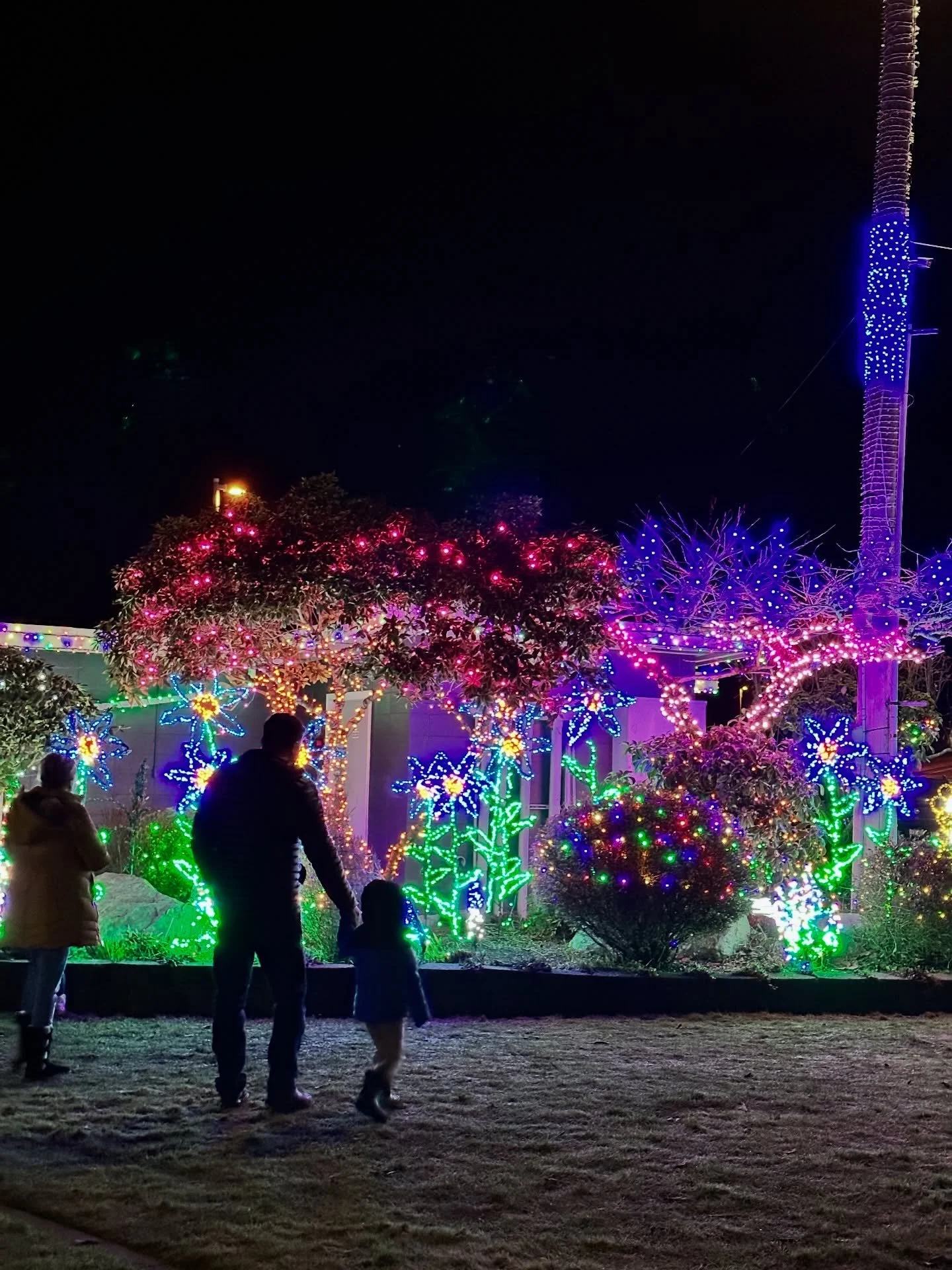 Are your kids begging for &lsquo;more christmas lights&rsquo; each time they get in the car, just like our kids are? If so, then a drive out to Kingston might be just the family adventure you need. It&rsquo;s the ultimate location for getting out of 