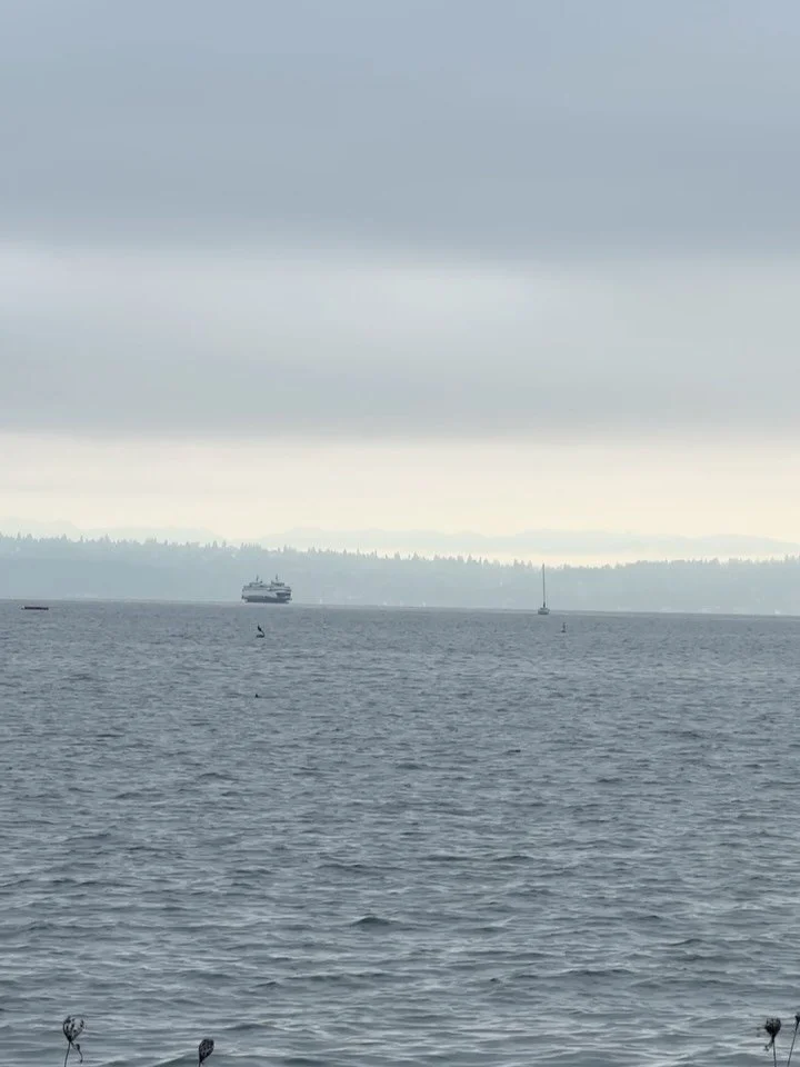 When those foggy mornings turn into blue skies (and golden sunsets). ❤️